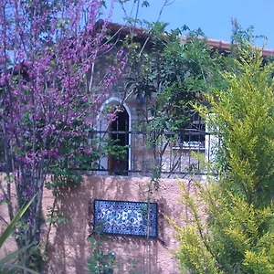 https://fig-garden-cottages.aegeanhotels.net
